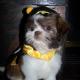 codypics 038