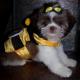 codypics 047.JPG_cropped